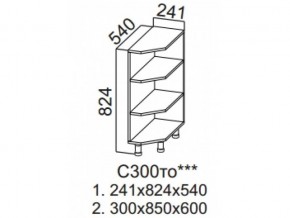 С300то Стол-рабочий 300 (торцевой открытый) в Бакале - bakal.магазин96.com | фото