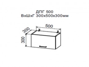 Шкаф верхний ДПГ500 горизонтальный в Бакале - bakal.магазин96.com | фото