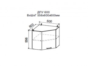 Шкаф верхний ДПУ600 угловой в Бакале - bakal.магазин96.com | фото